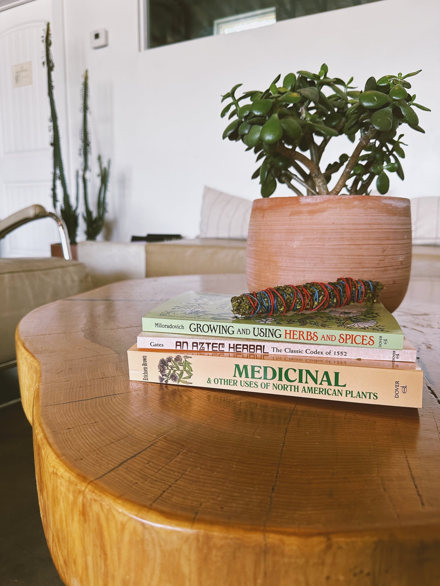 AN AZTEC HERBAL BOOK
