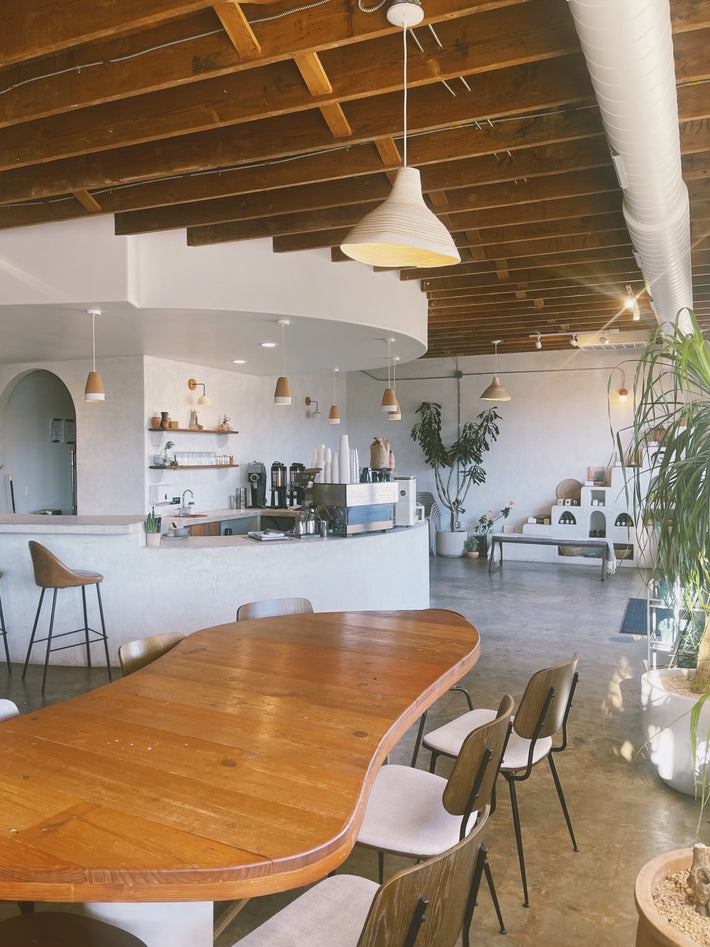 Palomino Coffee, photo 4